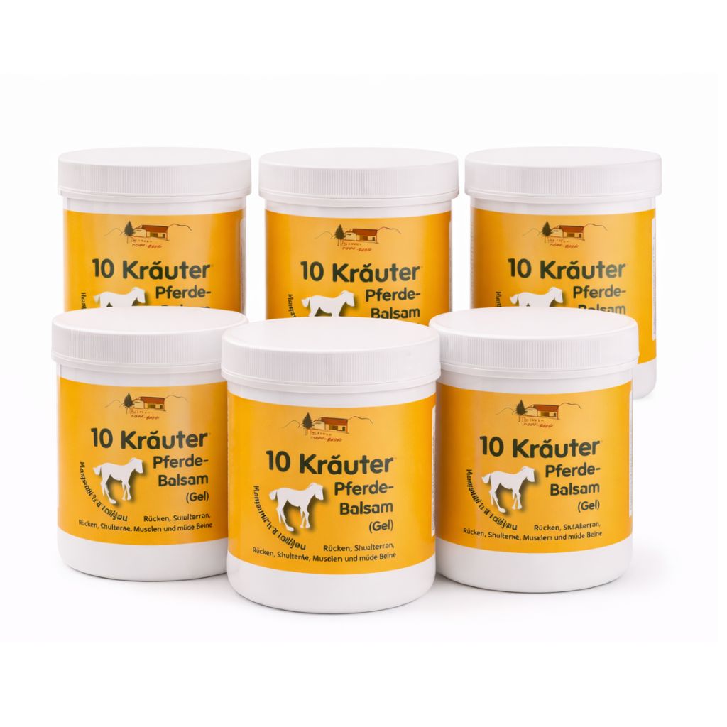 6x 250 ml Pullach Hof 10 Kräuter Pferde-Balsam (Gel)