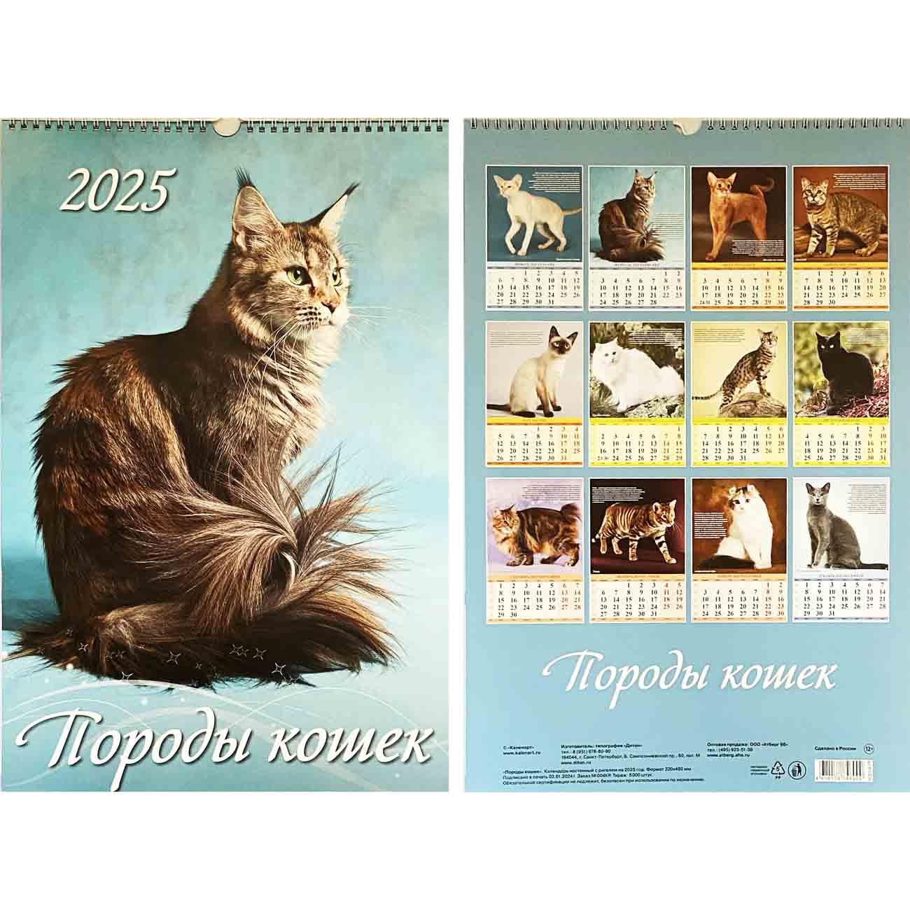 Abreißkalender 2025  Wandkalender