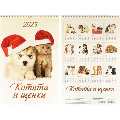 Abreißkalender 2025  Wandkalender