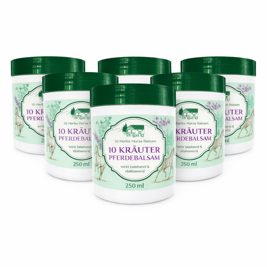 6x250 ml 10 Kräuter Pferdebalsam – Hauppflege