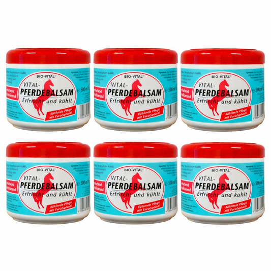 Bio-Vital Pferde-Balsam Gel Pferde-Salbe Sport-Gel Kühlend Eucalyptus-Öl (6 Pack)