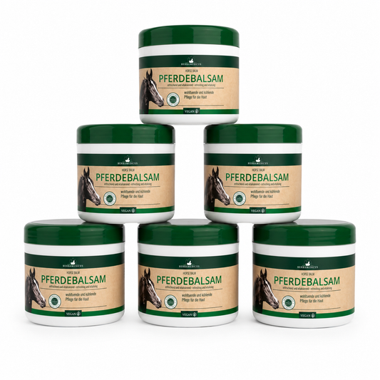 Herbamedicus Pferdebalsam 500 ml – 6er Pack | Kühlendes Gel