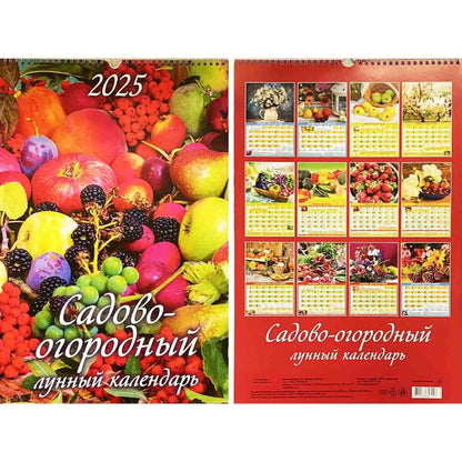 Abreißkalender 2025  Wandkalender