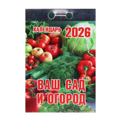 Abreißkalender 2026 russische Tagesblock Tagesabreißkalender Wandkalender