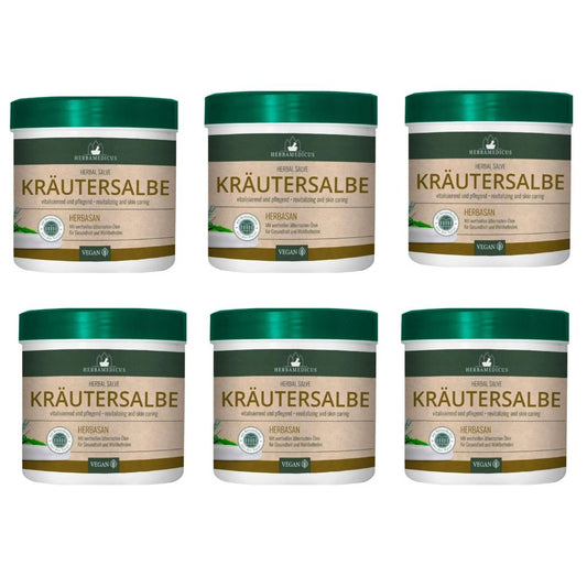 6x250 ml HERBAMEDICUS Herbasan Kräutersalbe